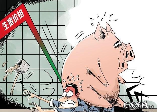 男人不会赚钱怎么办? 今年养猪到底赚不赚钱应不应该听从专家的建议?请分析原因?