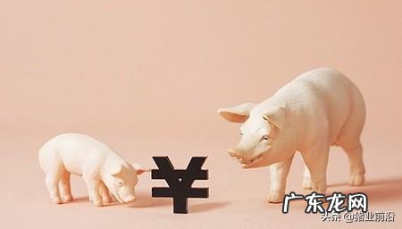 男人不会赚钱怎么办? 今年养猪到底赚不赚钱应不应该听从专家的建议?请分析原因?