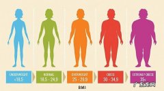 女性bmi指数标准是多少