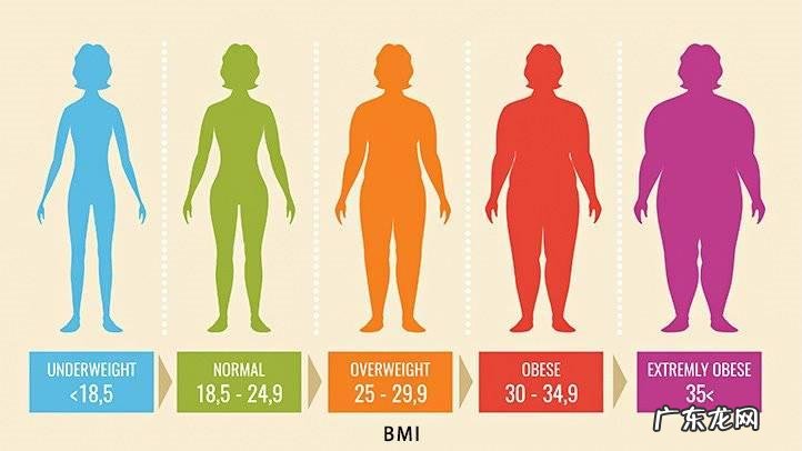 女性bmi指数标准是多少