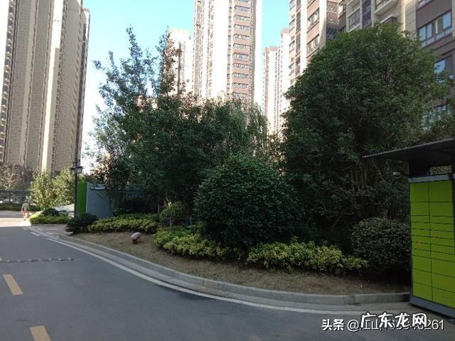 为什么在校大学生不能贷款? 在校大学生怎么能赚点零花?