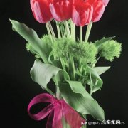 哪个走路软件赚钱最快？ 现在各种可以赚钱的APP，什么走路赚钱，睡觉赚钱，五花八门，这些