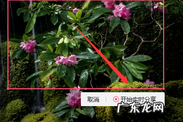 qq群课堂怎么用手机分享屏幕 QQ群课堂怎么分享屏幕