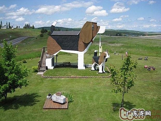 带小狗搬入宾馆时的常见问题