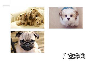 word中多张图片排版的方法教程详解 Word多张图片对齐排版方法