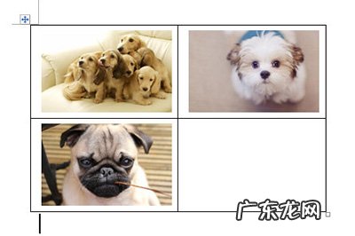 word中多张图片排版的方法教程详解 Word多张图片对齐排版方法