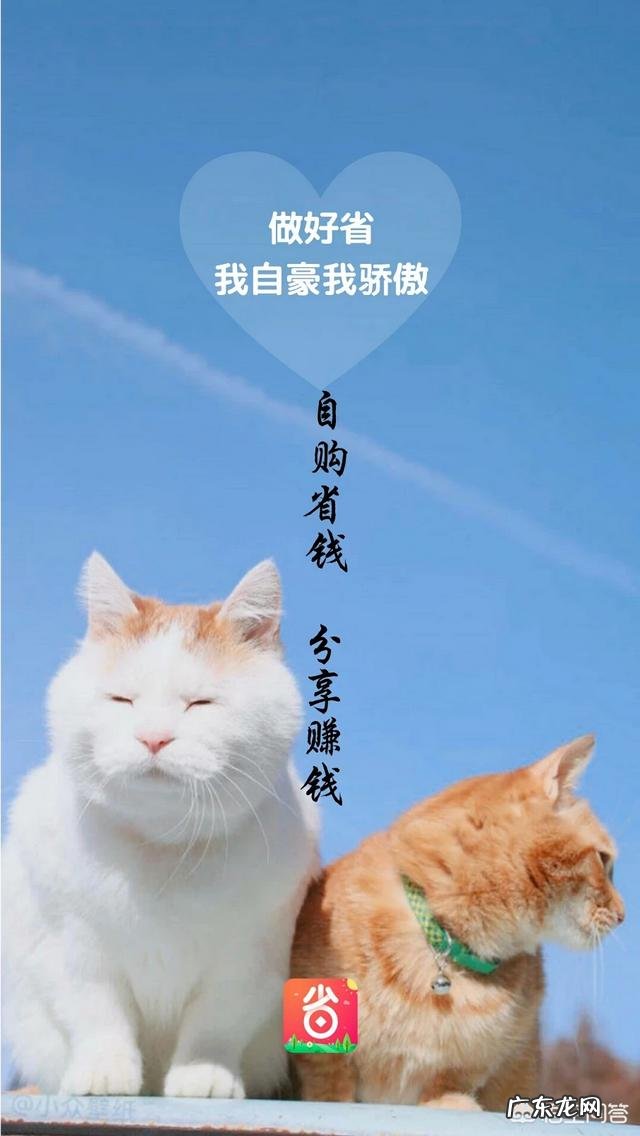 怎么利用毒app怎么赚钱? 用什么APP赚钱比较好?