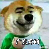 怎么利用毒app怎么赚钱? 用什么APP赚钱比较好?