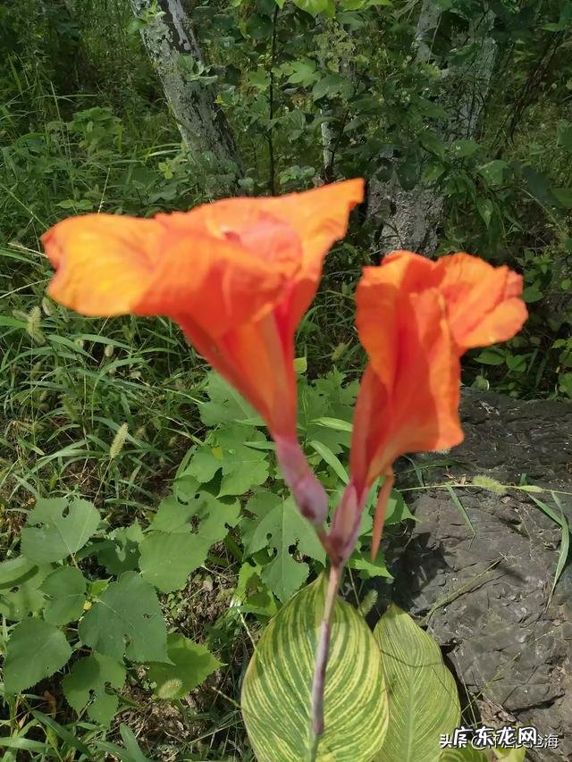 没本钱干什么挣钱快? 我吃苦耐劳,大家有没有挣钱的路子可以推荐?