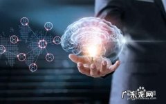 网上什么赚钱最稳最快？ 在网上怎么赚钱