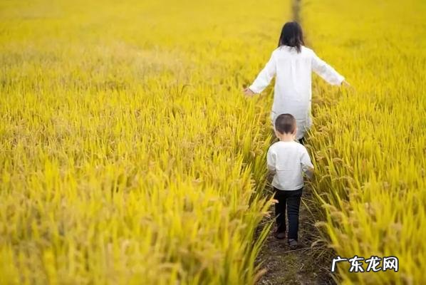 单亲家庭的教育指导 单亲家庭的教育