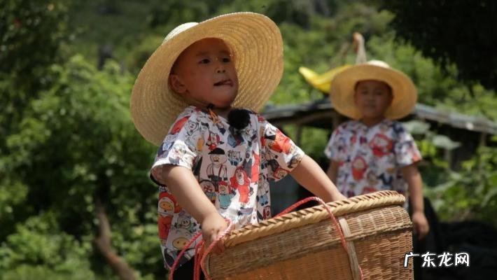 爸爸去哪儿收视率最高的一季 爸爸去哪儿收视率