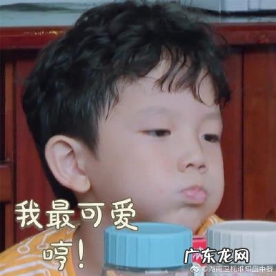 爸爸去哪儿收视率最高的一季 爸爸去哪儿收视率