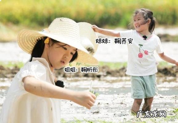 爸爸去哪儿收视率最高的一季 爸爸去哪儿收视率