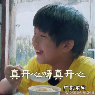 爸爸去哪儿收视率最高的一季 爸爸去哪儿收视率