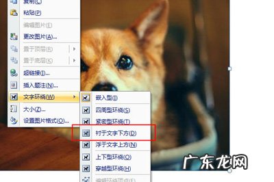 怎样把九张图片制成九宫格 Word九宫格图片怎么做