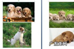 word文档图片序号自动编号 Word图片怎么自动编号