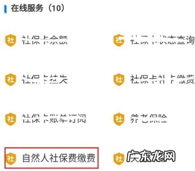 支付宝怎么交医保缴费?具体流程分享