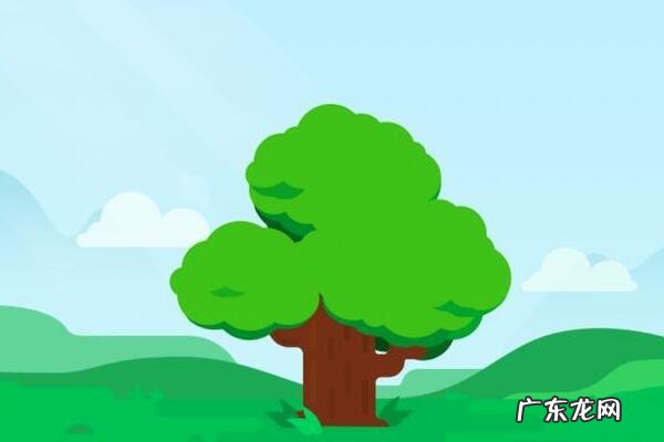 蚂蚁森林攻略介绍?蚂蚁森林怎么玩?