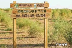 蚂蚁环保证书在哪里领？如何获得？