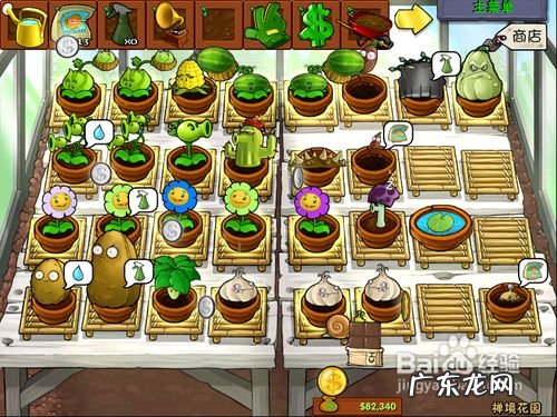 植物大战僵尸怎么盈利 植物大战僵尸如何快速赚钱,植物大战僵尸1刷钱方法