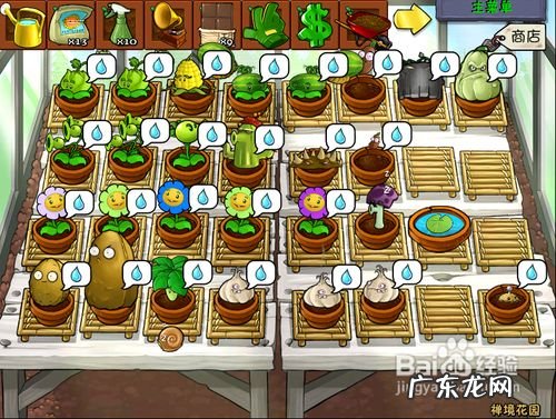 植物大战僵尸怎么盈利 植物大战僵尸如何快速赚钱,植物大战僵尸1刷钱方法