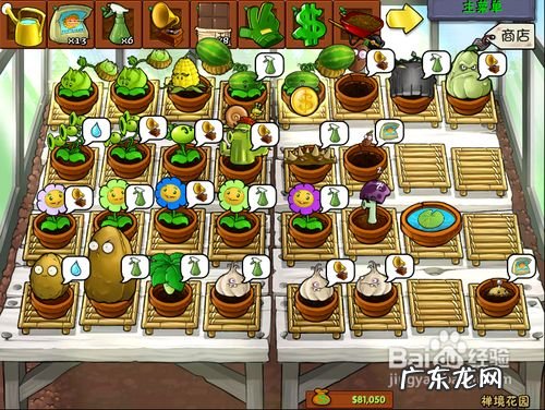 植物大战僵尸怎么盈利 植物大战僵尸如何快速赚钱,植物大战僵尸1刷钱方法