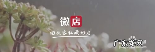 大学可以做什么赚钱 大学生怎么在大学期间快速高效的赚钱,大学生怎么赚钱比较快