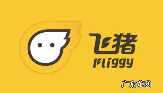 飞猪出票需要多长时间？相关问题解答