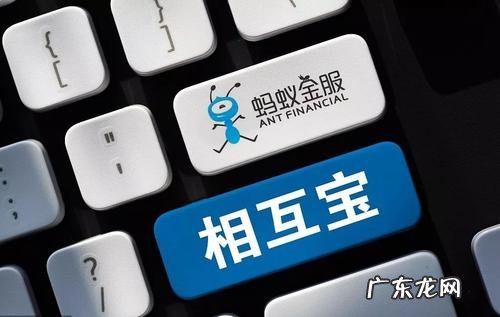 相互宝为什么加入不了?原因是什么?