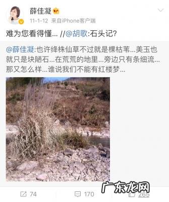 薛佳凝微博新浪微博微博 薛佳凝微博