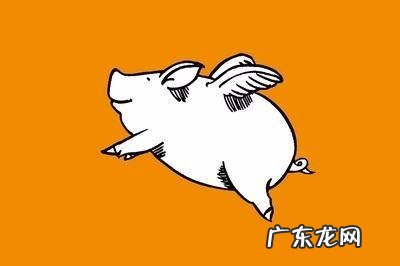 飞猪出票失败多久退款?飞猪抢票靠谱吗?