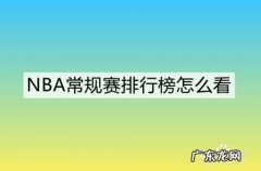 NBA常规赛排行榜怎么看