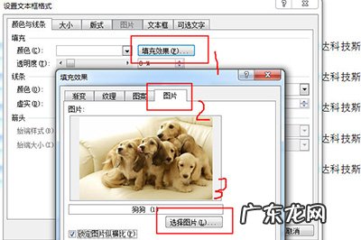 word文档图片怎么固定位置 Word图片怎么固定位置