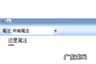 word尾注怎么加横线 Word尾注怎么加