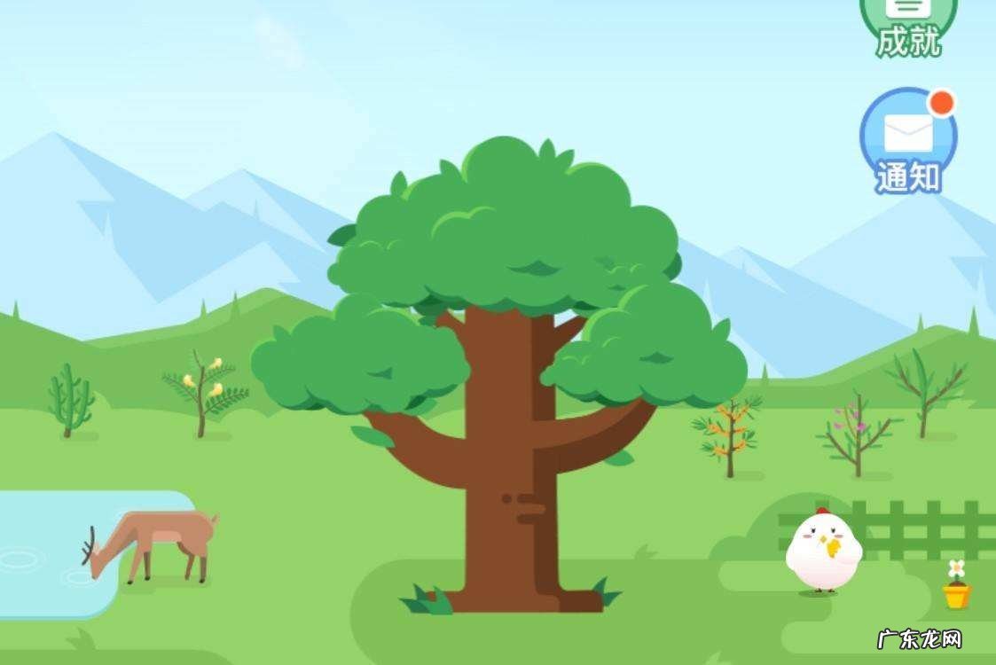 蚂蚁森林怎么关闭行走?行走捐是怎么回事?