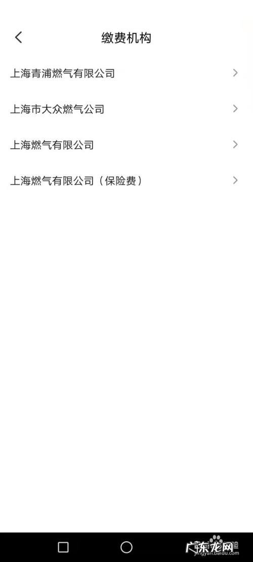 燃气交费手机上怎么操作办理,燃气充完钱按哪个按钮?