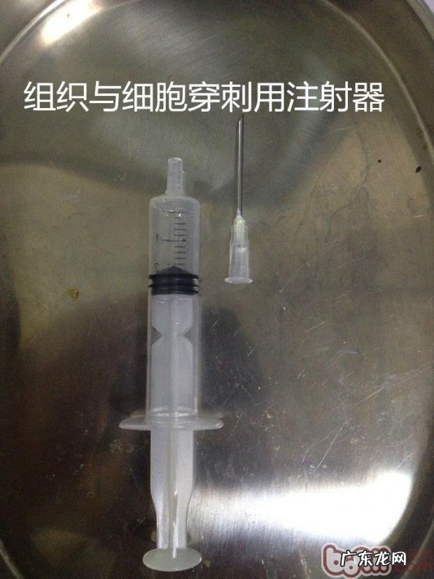 常见的皮肤病查验方式