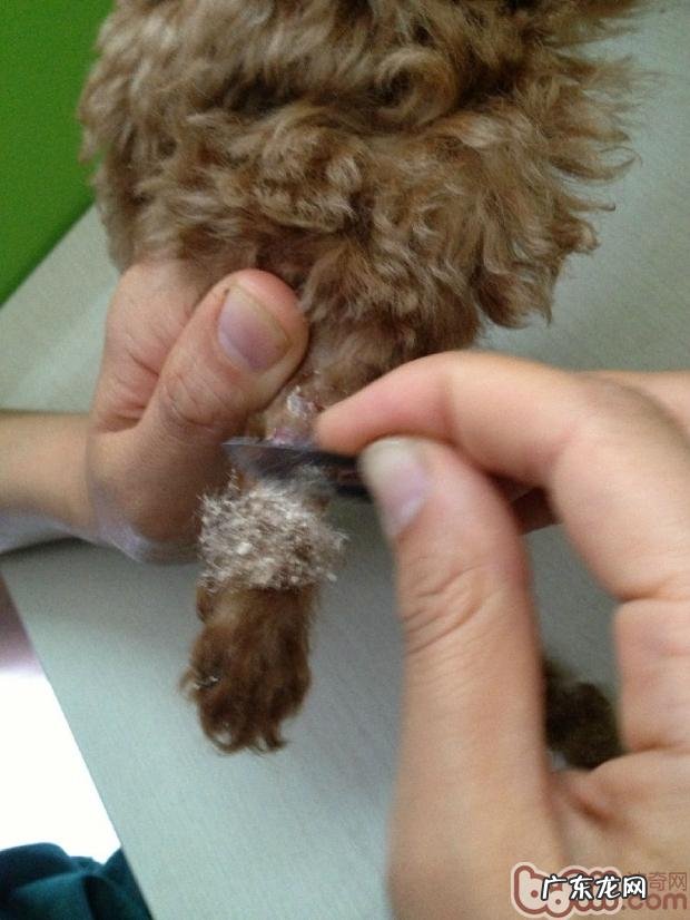 常见的皮肤病查验方式