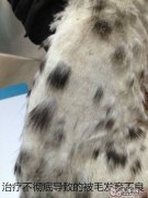 常见的皮肤病查验方式