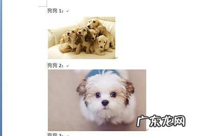 word中图片如何对齐排列 Word图片排版对齐方法