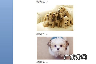 word中图片如何对齐排列 Word图片排版对齐方法