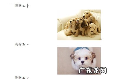 word中图片如何对齐排列 Word图片排版对齐方法