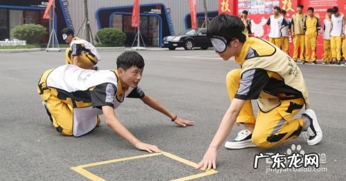 初中生学什么技术好