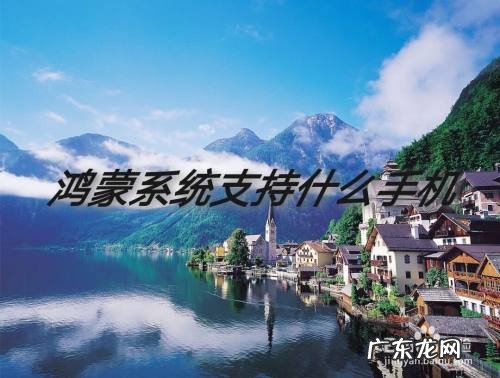 鸿蒙系统支持什么手机