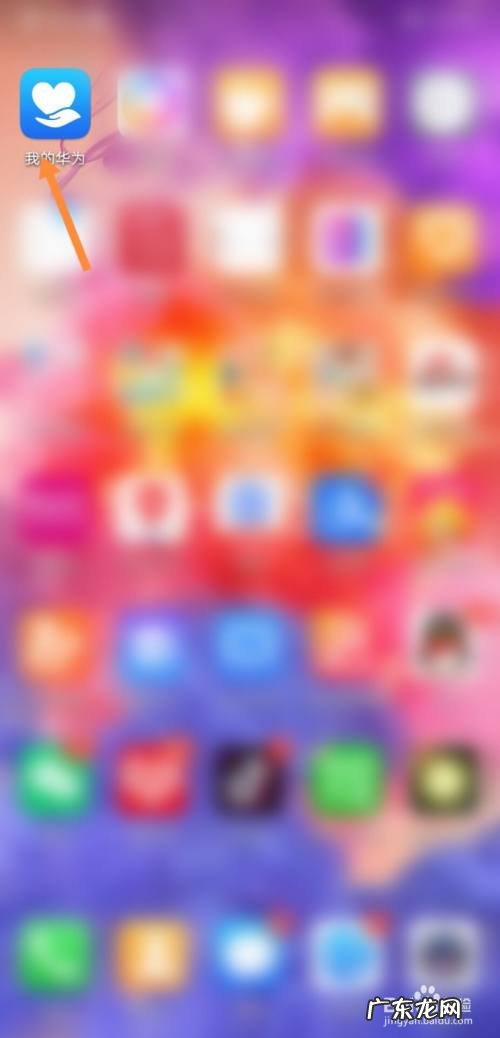 鸿蒙系统支持什么手机