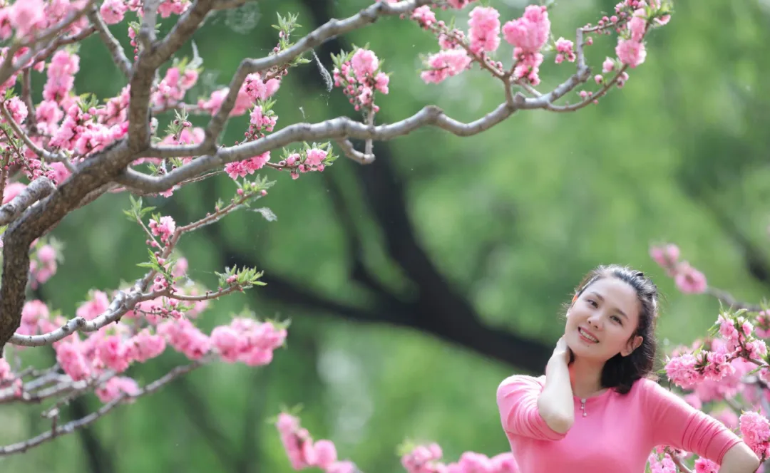 演员程莉莎的个人资料 演员程莉莎