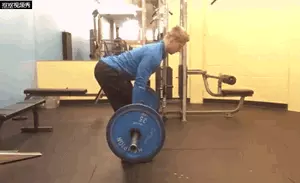 健身中的划船是怎么做的？