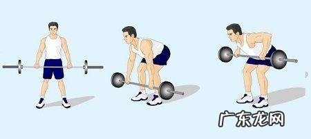 健身中的划船是怎么做的？