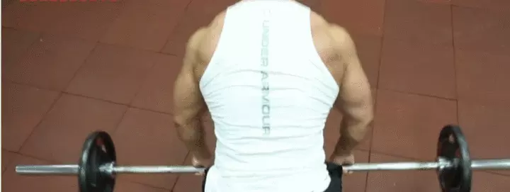 健身中的划船是怎么做的？